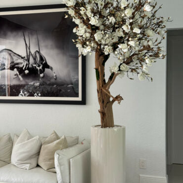 Cachepô St. Tropez Bege Brilhante com Árvore de Magnólia Sob Medida