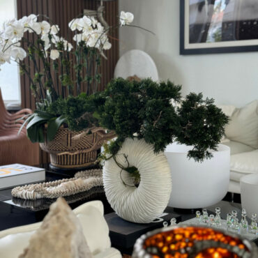 Vaso Eternity Grande com Bonsai Pendente e Driftwood