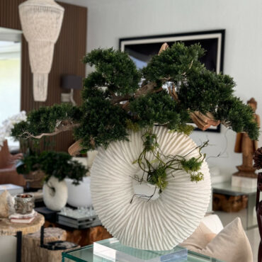 Vaso Eternity Médio com Árvore Bonsai Pendente e Driftwood