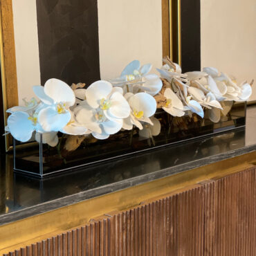Cachepô de Vidro Preto Fumê Casa Moderna com Orquídeas Phalaenopsis Brancas