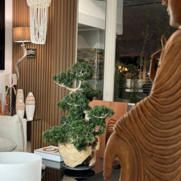 Vaso de Teca com Bonsai Semi-Cascade