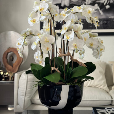 Orquídeas Brancas em Vaso Kempff Bowl