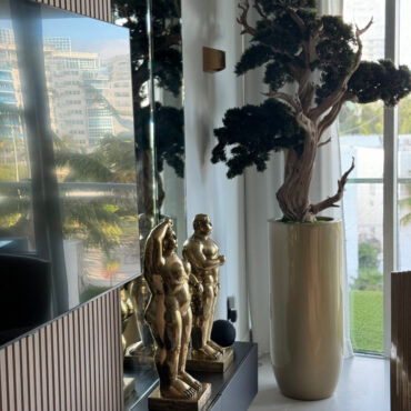 Bonsai em Vaso Saint Tropez