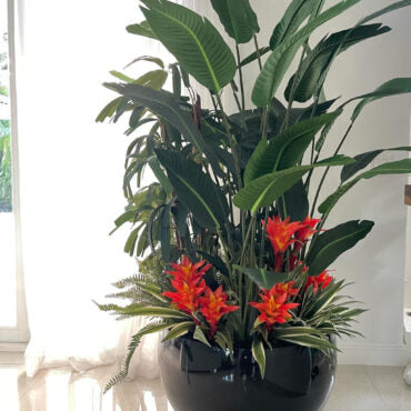 Mix de Plantas Tropicais em Vaso Tarragona Preto