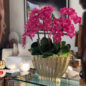 Vaso Vivien Dourado com Orquídeas Phalaenopsis Rosas
