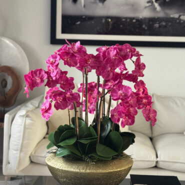 Vaso Blaze Bowl com Orquídeas Phalaenopsis Rosas