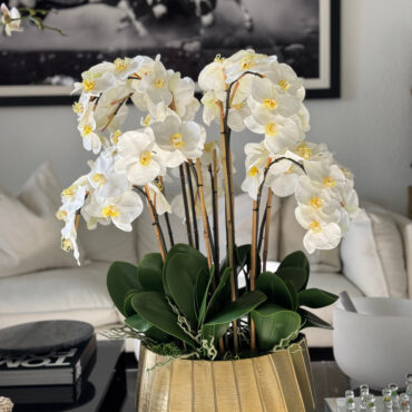 Vaso Helena Boat com Orquídeas Phalaenopsis Brancas