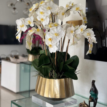 Vaso Helena Boat com Orquídeas Phalaenopsis Brancas