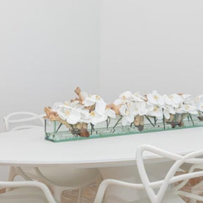 Cachepô de vidro Casa Moderna com Orquídeas Brancas