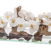 Cachepô de vidro Casa Moderna com Orquídeas Brancas