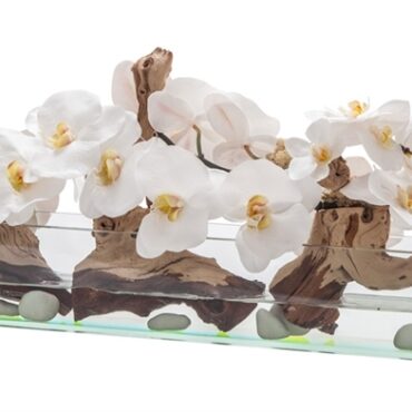 Cachepô de vidro Casa Moderna com Orquídeas Brancas