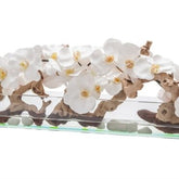 Cachepô de vidro Casa Moderna com Orquídeas Brancas