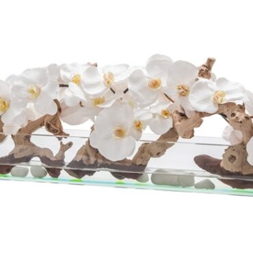 Cachepô de vidro Casa Moderna com Orquídeas Brancas