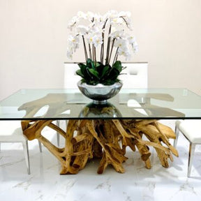 Tigela Avenue com Orquídeas Phalaenopsis Brancas