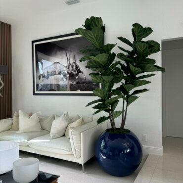 Vaso Globo Azul com Fiddle Leaf Fig