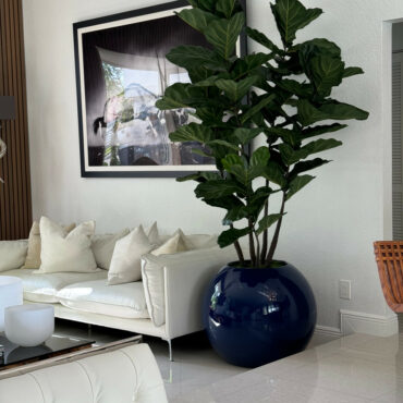 Vaso Globo Azul com Fiddle Leaf Fig