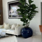 Vaso Globo Azul com Fiddle Leaf Fig