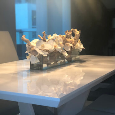 Cachepô de vidro Casa Moderna com Orquídeas Brancas