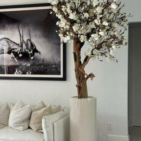 Cachepô St. Tropez Bege Brilhante com Árvore de Magnólia Sob Medida