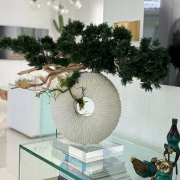 Vaso Eternity Médio com Árvore Bonsai Pendente e Driftwood