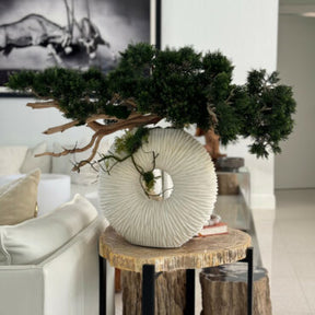 Vaso Eternity Médio com Árvore Bonsai Pendente e Driftwood