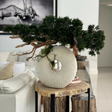 Vaso Eternity Médio com Árvore Bonsai Pendente e Driftwood