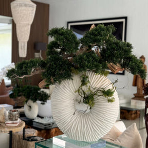 Vaso Eternity Grande com Bonsai Pendente e Driftwood