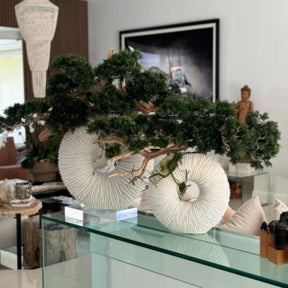 Vaso Eternity Grande com Bonsai Pendente e Driftwood