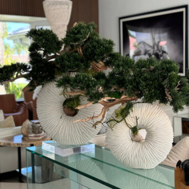 Vaso Eternity Grande com Bonsai Pendente e Driftwood