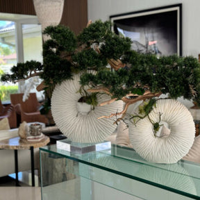 Vaso Eternity Grande com Bonsai Pendente e Driftwood