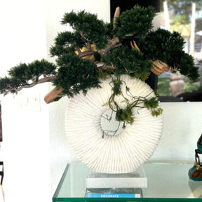 Vaso Eternity Grande com Bonsai Pendente e Driftwood