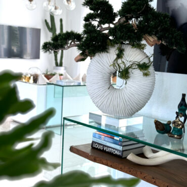 Vaso Eternity Grande com Bonsai Pendente e Driftwood