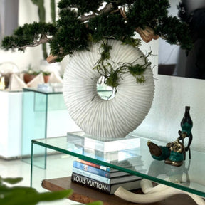 Vaso Eternity Grande com Bonsai Pendente e Driftwood