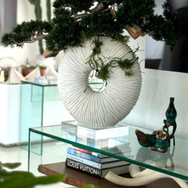 Vaso Eternity Grande com Bonsai Pendente e Driftwood