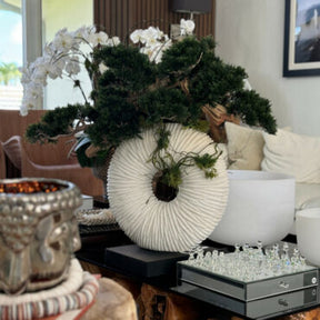 Vaso Eternity Grande com Bonsai Pendente e Driftwood