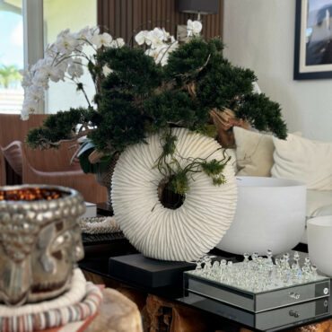 Vaso Eternity Grande com Bonsai Pendente e Driftwood