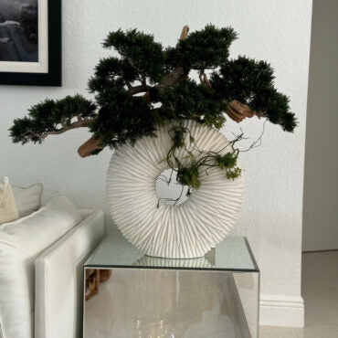 Vaso Eternity Grande com Bonsai Pendente e Driftwood