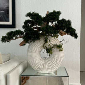 Vaso Eternity Grande com Bonsai Pendente e Driftwood