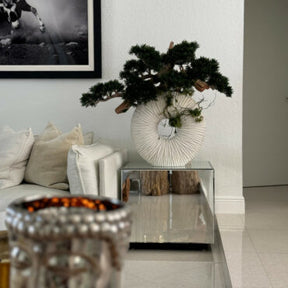 Vaso Eternity Grande com Bonsai Pendente e Driftwood