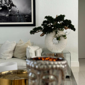 Vaso Eternity Grande com Bonsai Pendente e Driftwood