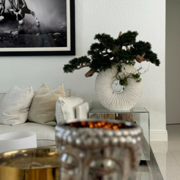 Vaso Eternity Grande com Bonsai Pendente e Driftwood