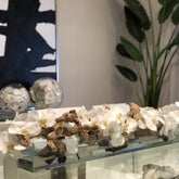 Cachepô de vidro Casa Moderna com Orquídeas Phalaenopsis Brancas