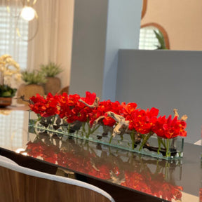 Cachepô de vidro Casa Moderna com Cymbidiums Vermelhos