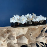 Cachepô de Vidro Preto Fumê Casa Moderna com Orquídeas Phalaenopsis Brancas