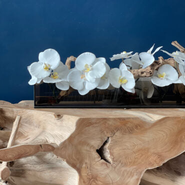 Cachepô de Vidro Preto Fumê Casa Moderna com Orquídeas Phalaenopsis Brancas