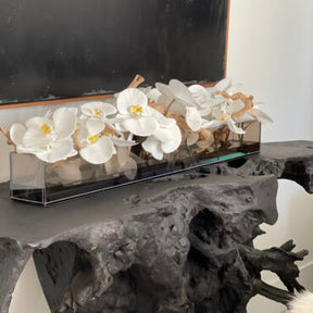 Cachepô de Vidro Preto Fumê Casa Moderna com Orquídeas Phalaenopsis Brancas