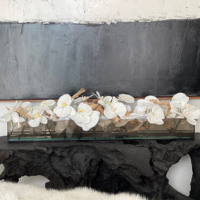 Cachepô de Vidro Preto Fumê Casa Moderna com Orquídeas Phalaenopsis Brancas