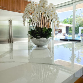 Tigela Avenue com Orquídeas Phalaenopsis Brancas