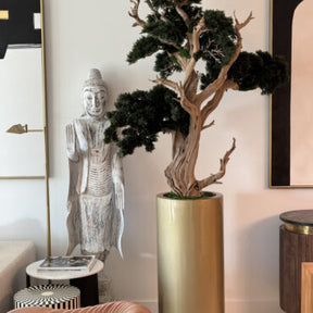 Bonsai em Vaso Saint Tropez