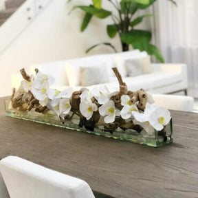 Cachepô de vidro Casa Moderna com Orquídeas Brancas